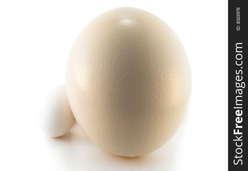 Ostrich And Hen S Eggs