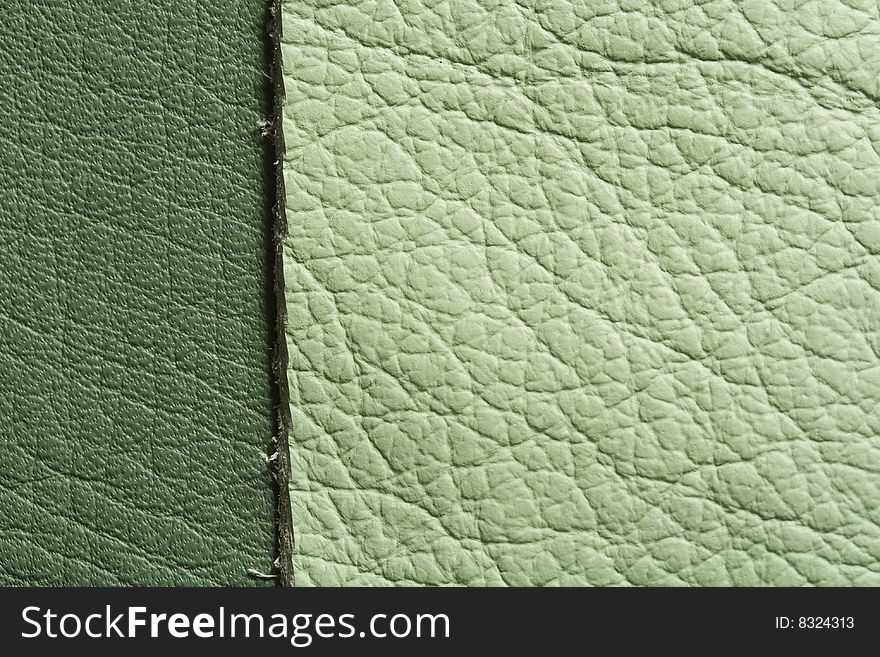 Green  Leather