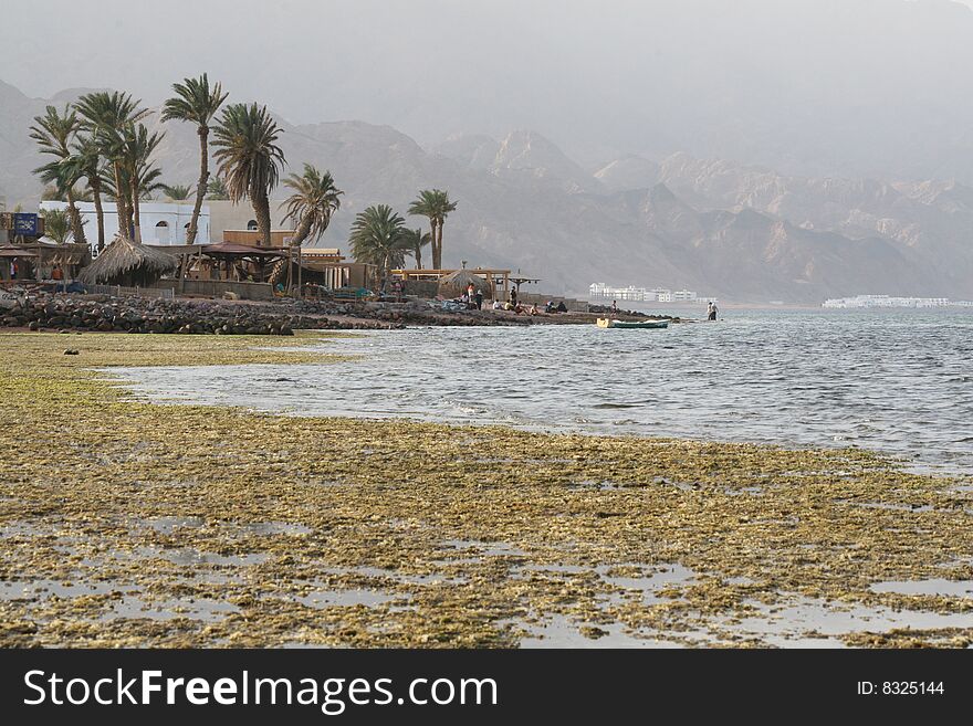 Dahab beach just after the low tide