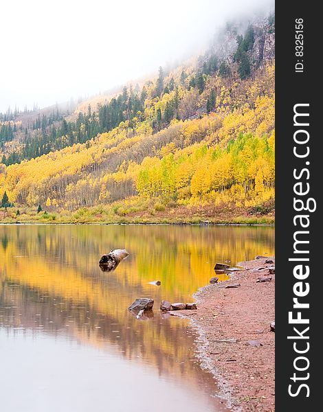 Aspen trees in the fall at Maroon bells