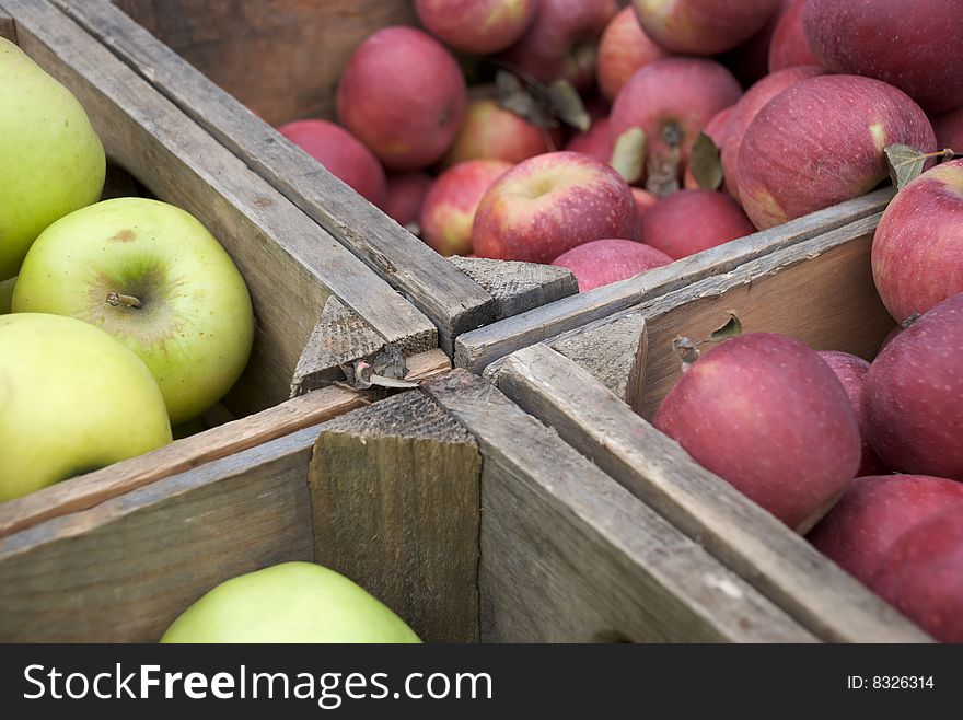 A crate of yellow and red apples at the market. A crate of yellow and red apples at the market