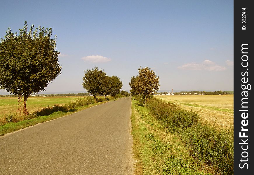 Summer road between fertile field