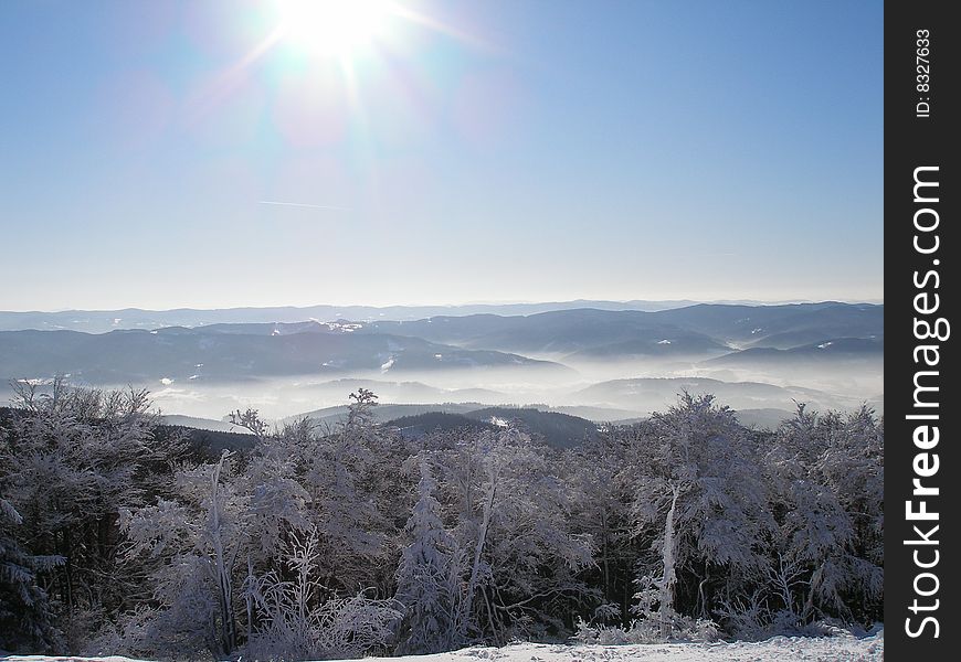 It is winter landscape with sunshine