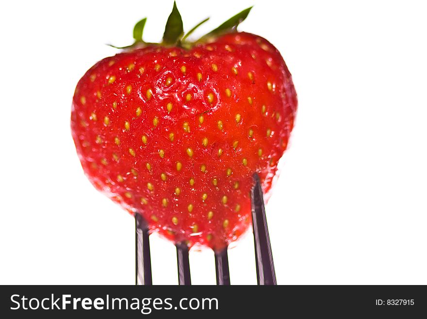 A bright red juicy strawberry on the end of a fork. A bright red juicy strawberry on the end of a fork