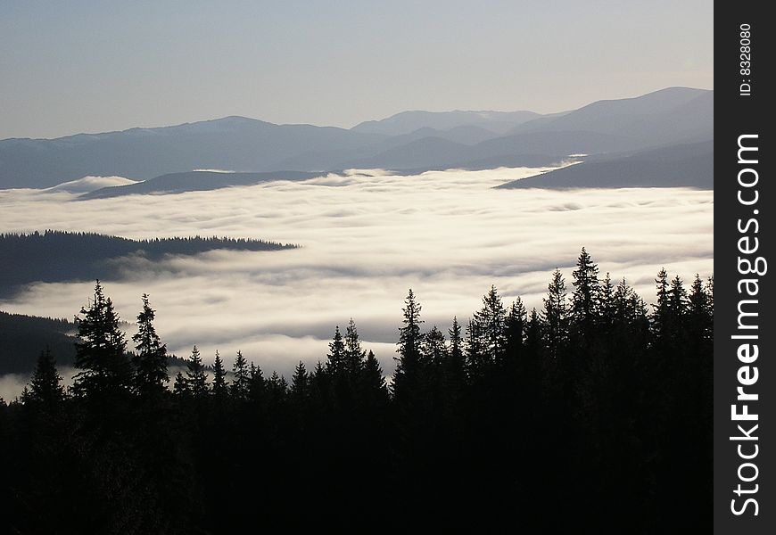 Morning fog is in the mountains of Carpathians. Morning fog is in the mountains of Carpathians