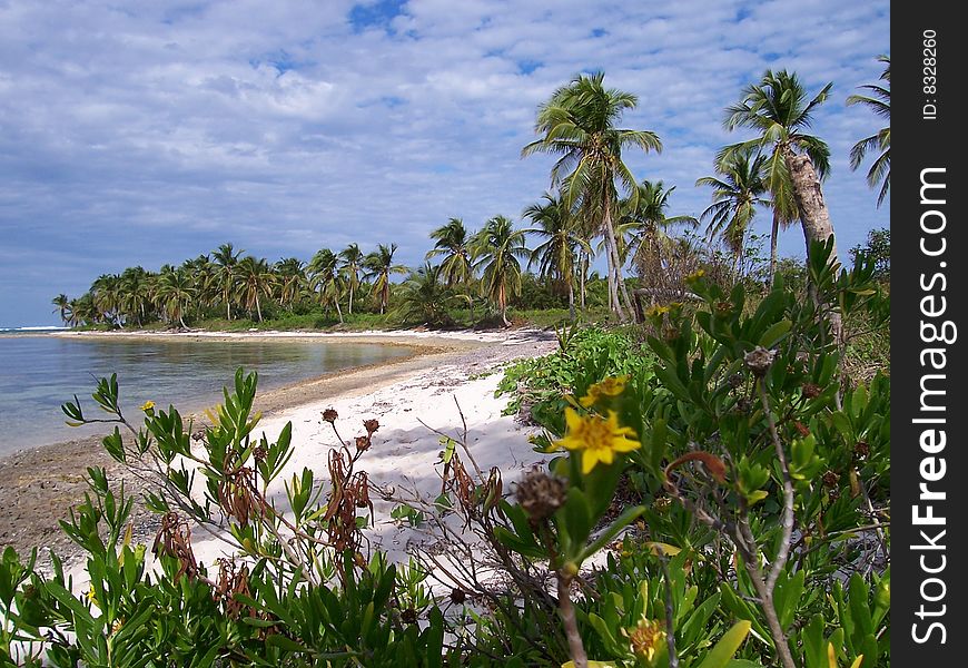 A secret beach in the Dominican Republic. A secret beach in the Dominican Republic.