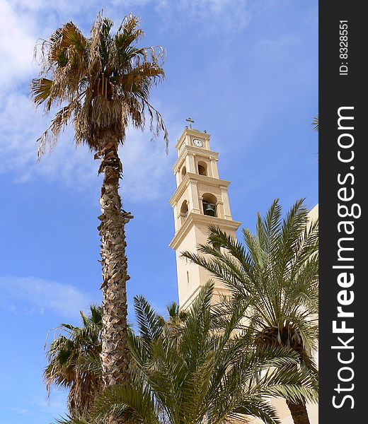 A church and palm trees in Jaffa, Israel. A church and palm trees in Jaffa, Israel.