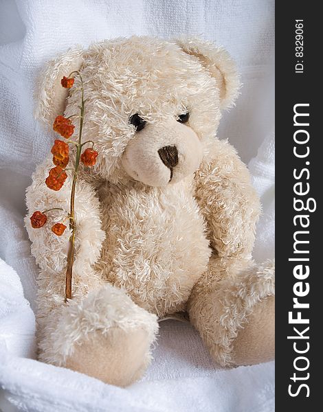 Soft the bear  with red berry on a white background. Soft the bear  with red berry on a white background