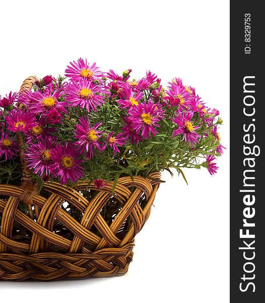 Picture of the basket of flowers on a white background