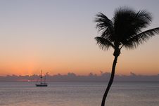 Sailing Boat And Palm Tree At Sunset Royalty Free Stock Images Sailing Boat And Palm Tree At Sunset Royalty Free Stock Images
