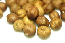 Hazelnuts On White Royalty Free Stock Image