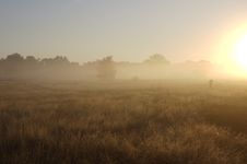 Field Early In Morning Royalty Free Stock Photography