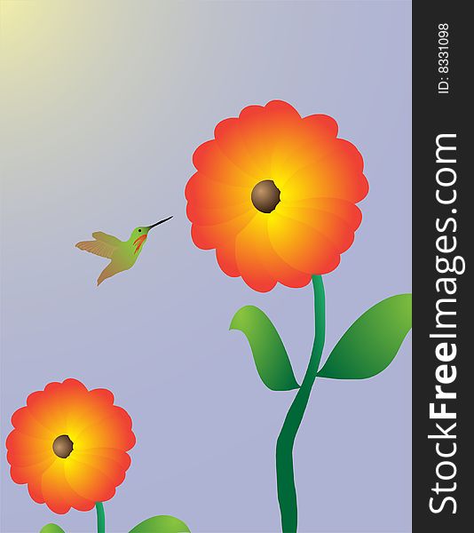 Vector drawing of a hummingbird and some flowers. Vector drawing of a hummingbird and some flowers