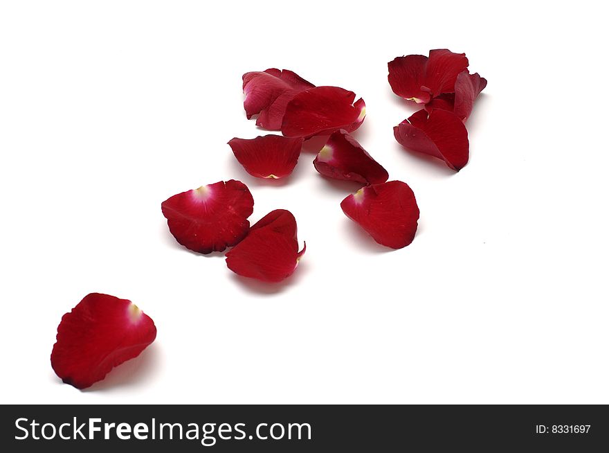 Red petals isolated  on white background. Red petals isolated  on white background