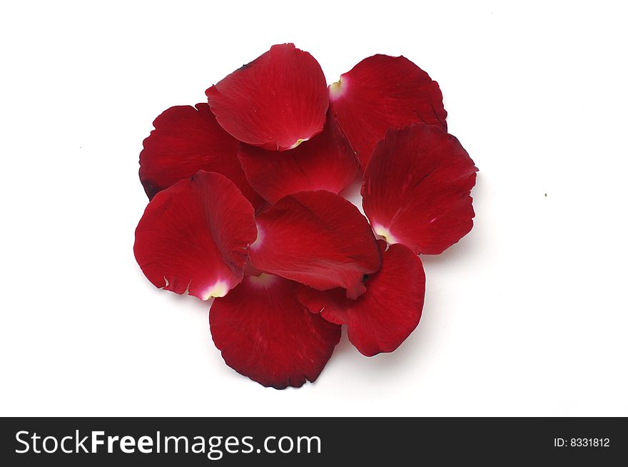 Rose Petals, great for use as design element