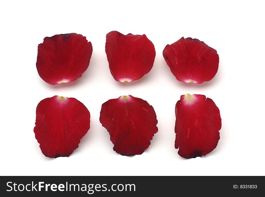 Rose Petals, great for use as design element