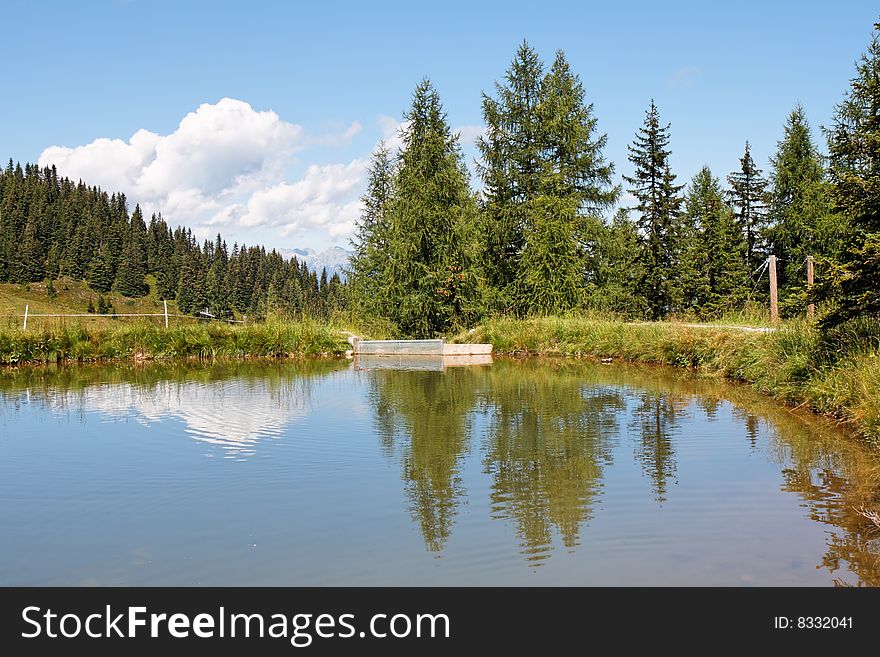 Trees and clouds reflect in pond