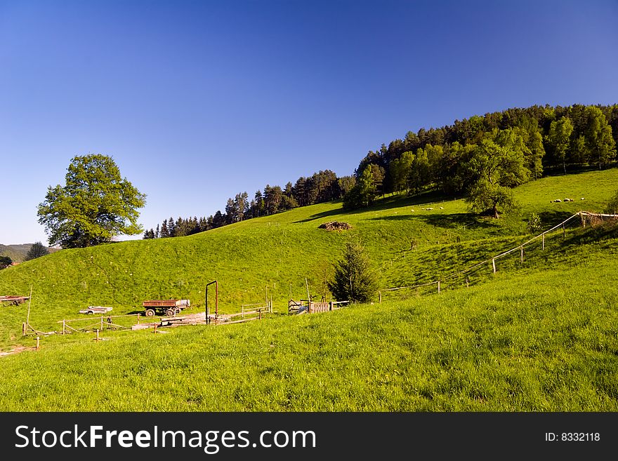 Summer Landscape with wooden agriculture tumbril