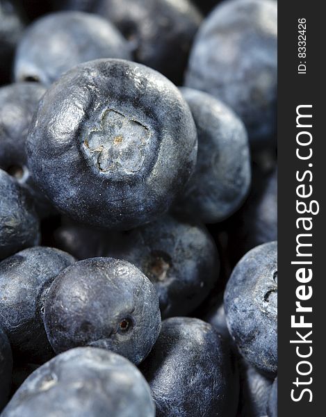 Fresh Blueberry Background. Selective Focus