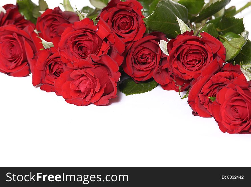 Detail of bunch of red roses