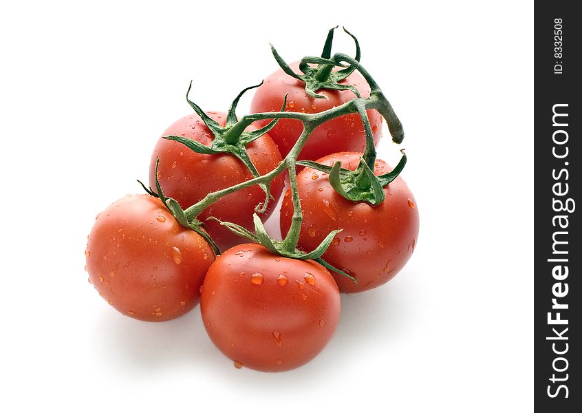 Cherry tomatoes on white background