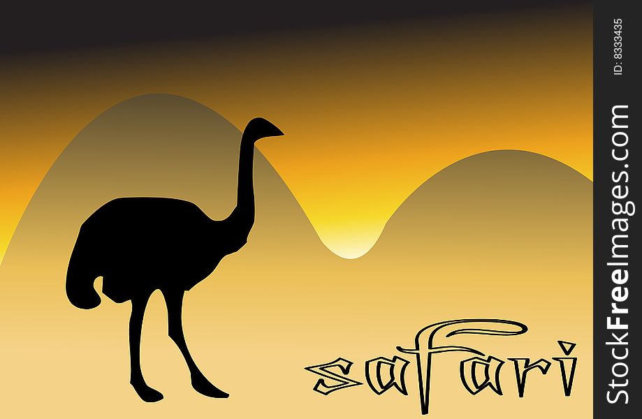 Illustration of african ostrich, resting. Illustration of african ostrich, resting