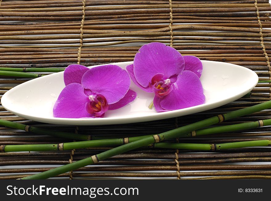 Bowl of orchid with bamboo -beautiful treatment. Bowl of orchid with bamboo -beautiful treatment