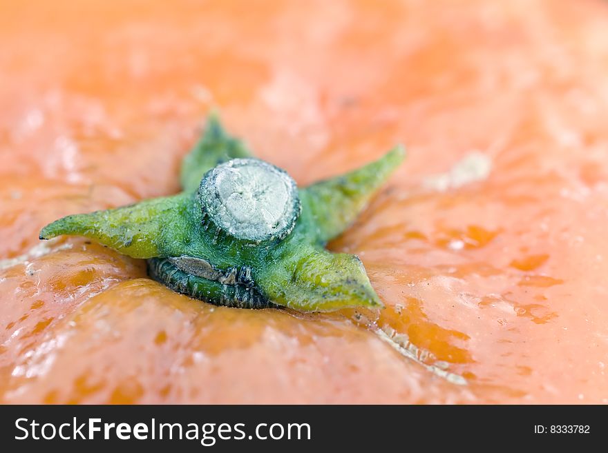 Macro detail of an orange fruit. Macro detail of an orange fruit