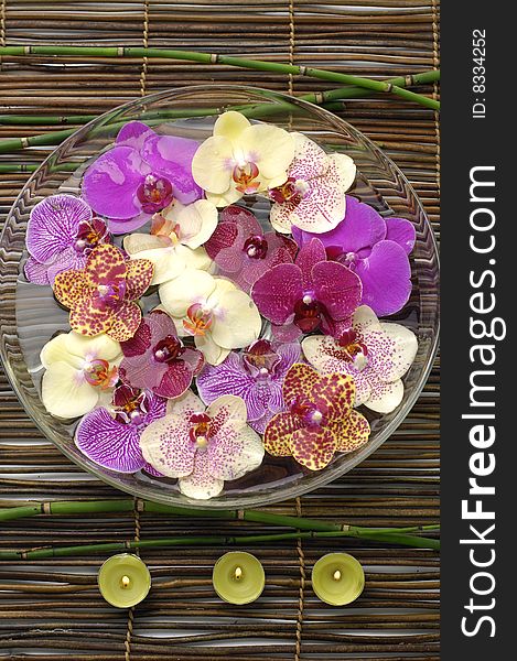 Elements of spa concept and orchid in a bowl with candles