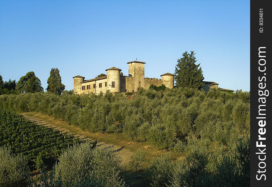 An ancient castle on the hills of Tuscany, surrounded by olive trees