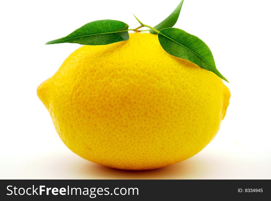 Lemon on a white background. Lemon on a white background