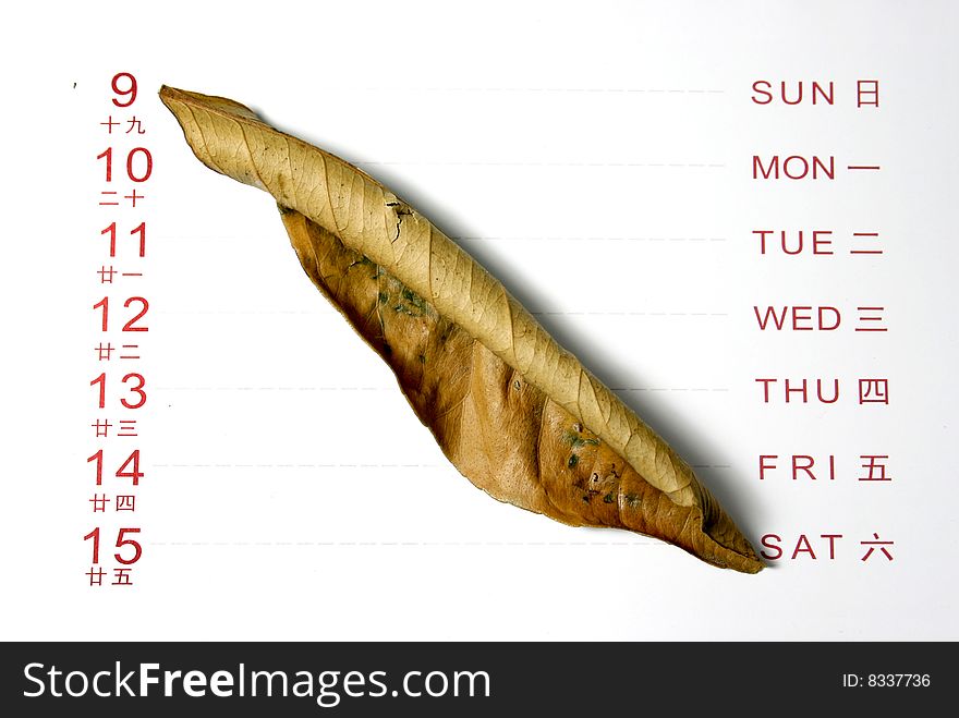 Leaves On Calendar