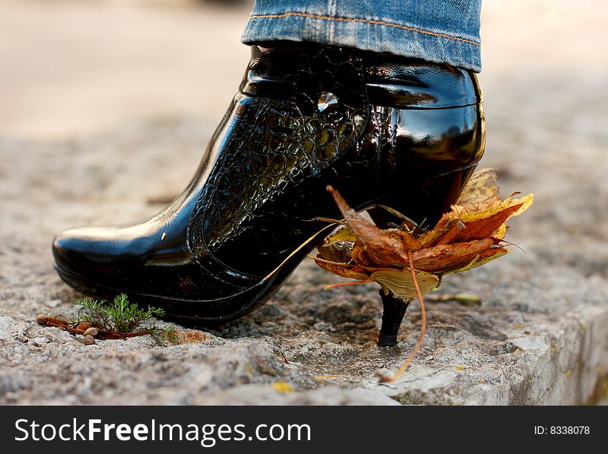 Picture of black boot with leaves on the heel. Picture of black boot with leaves on the heel