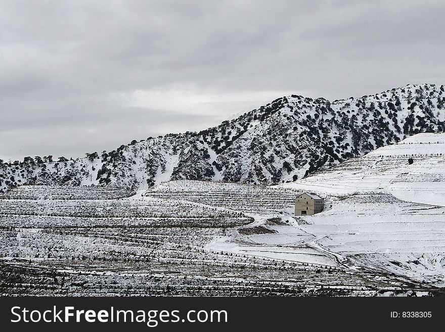 A snow landscape at troodos mountain in Cyprus. A snow landscape at troodos mountain in Cyprus