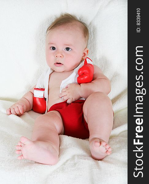 Portrait of the small boxer on a white background