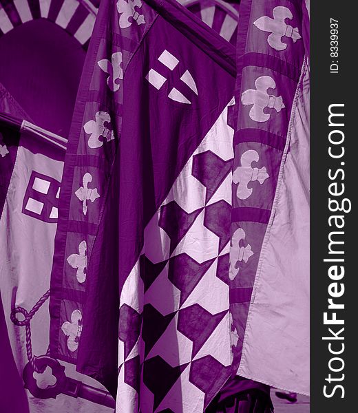 A beautiful image of some purple flags with the lily of Florence