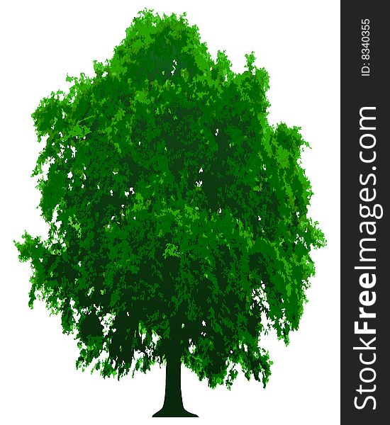 Vector tree. This image is a vector illustration and can be scaled to any size without loss of resolution