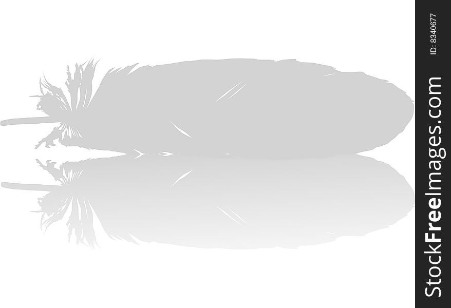 Illustration With Feather And Reflection
