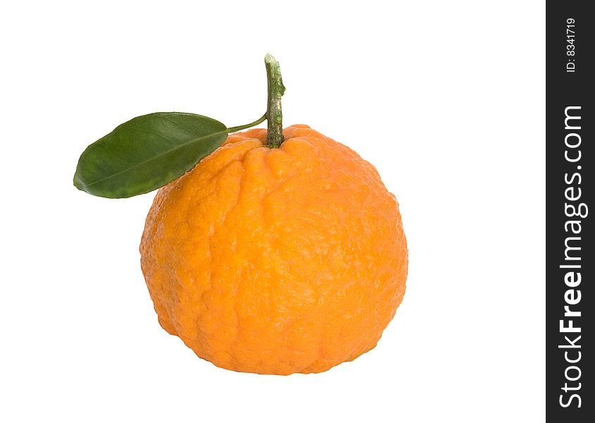 Tangerine isloated on white background