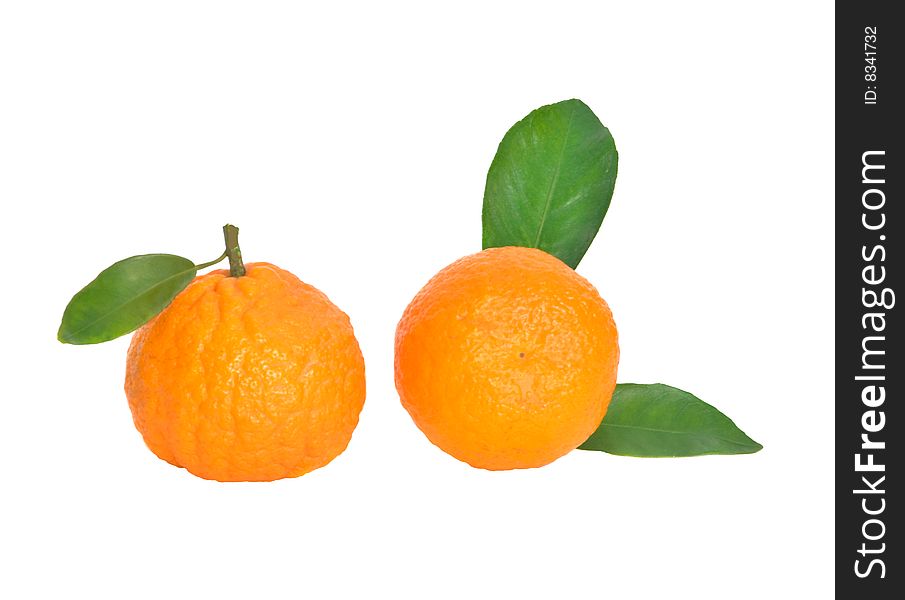 Tangerines isloated on white background