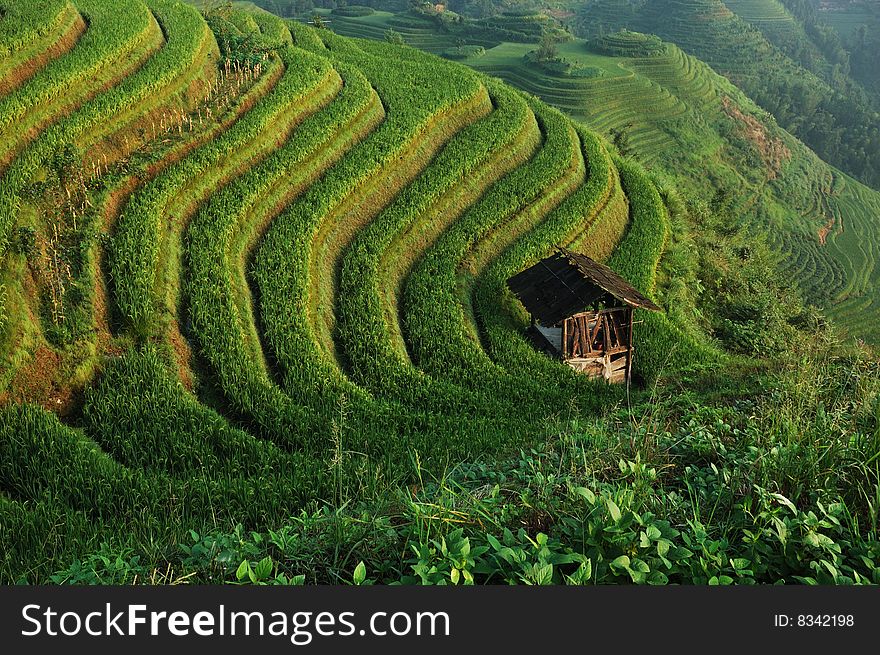 Terrace in south china area