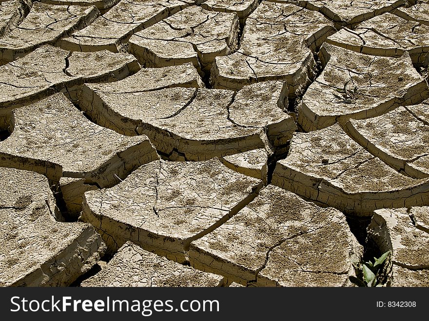 Cracked soil on the bottom of dried lake.
