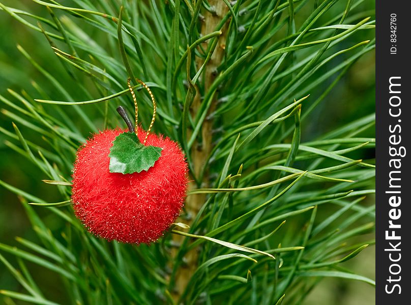 Red apple Christmas bauble on pine tree. Red apple Christmas bauble on pine tree