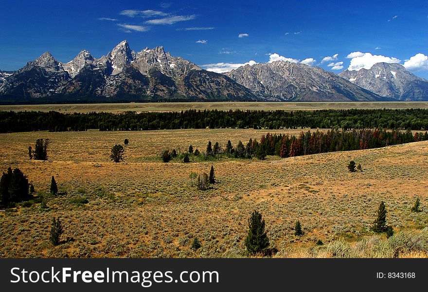 Fall landscape of Grand Teton NP