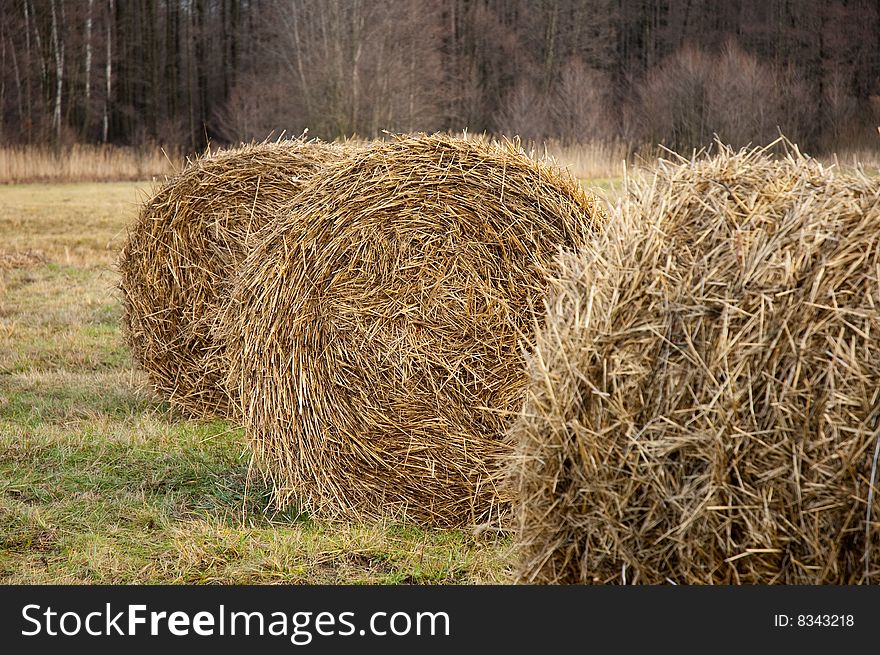 Straw in a farm in Poland in Eruope. Straw in a farm in Poland in Eruope