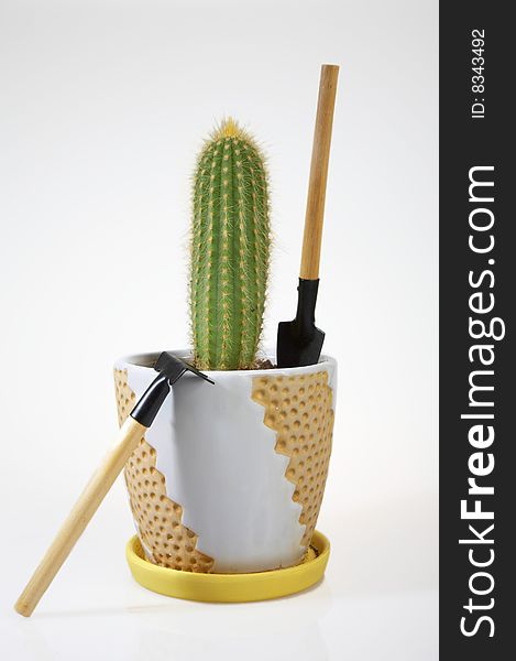 Cactus And Hand Gardening Tools