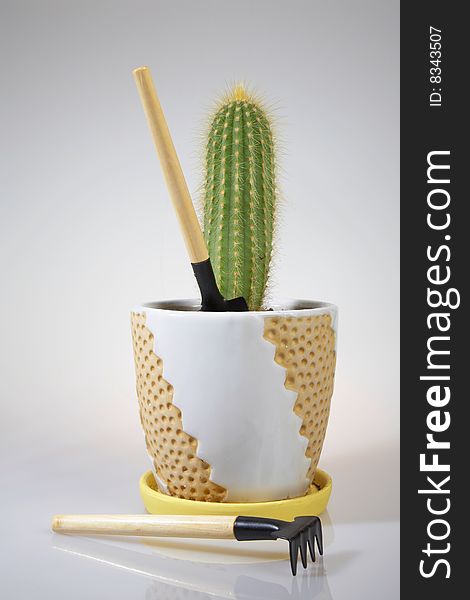 Cactus and Hand Gardening Tools