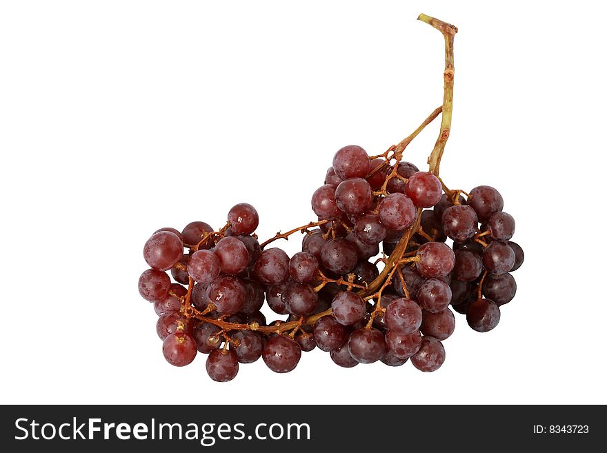 Big bunch of grapes isolated on white background