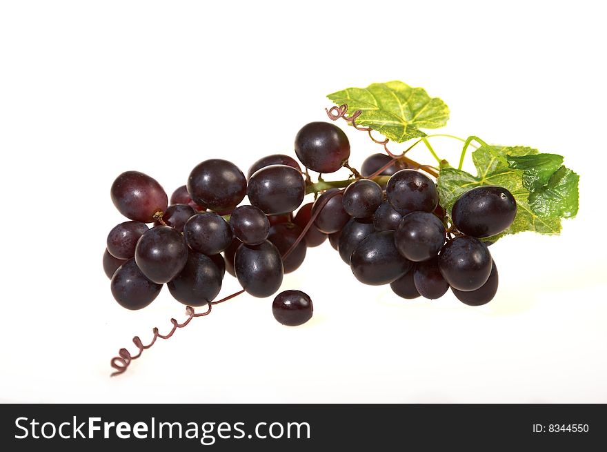 Fresh blue grape cluster with leaves, isolated on white background