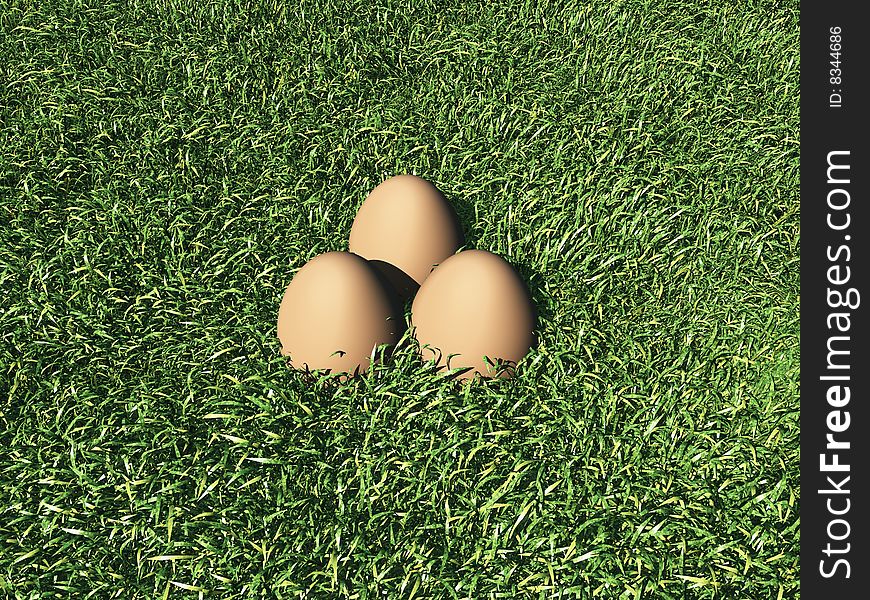 Eggs In The Grass
